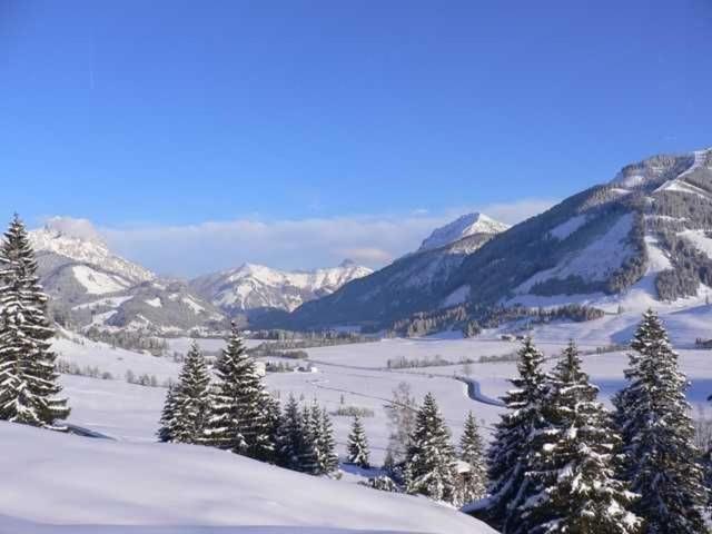 Вилла Berger Hof Таннхайм Экстерьер фото